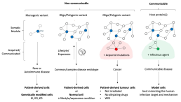 Mechanism-based classification of diseases and most suitable cell models for drug repurposing.