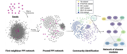 From seed genes to curated disease modules. (i) Identification of seed genes, (ii) protein-protein interaction networks, (iii) pruning using the STD, (iv) community detection analysis, (v) curated disease modules.